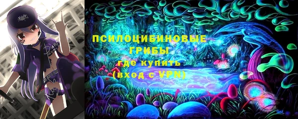 мяу мяу мука Арсеньев