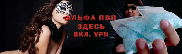 мяу мяу мука Арсеньев
